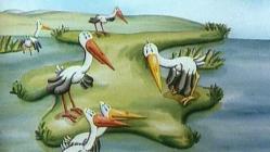 The Whale - Episode 10