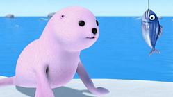 Crong Meets with a Seal - Episode 78