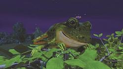 Frog In the Moon  - Episode 65