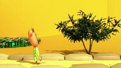 World of plants-Olive Tree - Episode 217