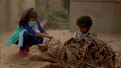A Storm in the Desert