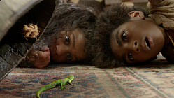 The Shape Shifter's Apprentice