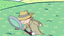  Cookies By Alexandra Zarowny