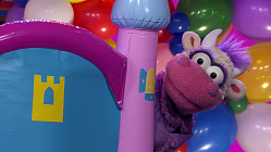 Apollo's Special Day