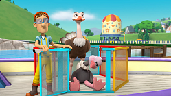 Pups Save an Ostrich - Episode 501B