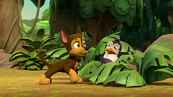 Pups Save a Freighter - Episode 601A