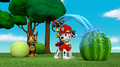 Pups Save a Melon Festival - Episode 603A