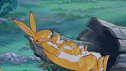 The Scents of Spring