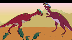 H is for Homalocephale