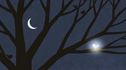 The Birdhouse Stories (40 Minute Version)