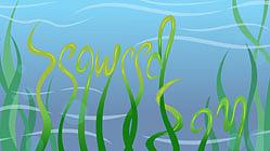Seaweed Sam