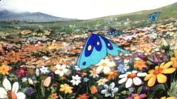 The Wedding That Almost Wasn't