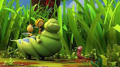 Misleading Appearances