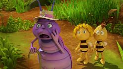 Mrs. Hermit Beetle's Journey