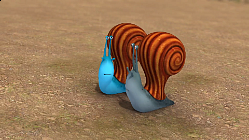 What a Fear of the Storm