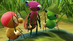 Secret Frog  - Episode 48